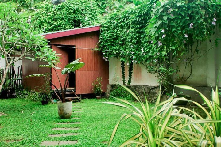 Amazing Villa Ματάρα Εξωτερικό φωτογραφία